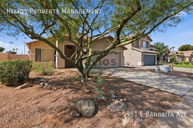 3981 E Barbarita Ave Gilbert, AZ 85234 photo 3