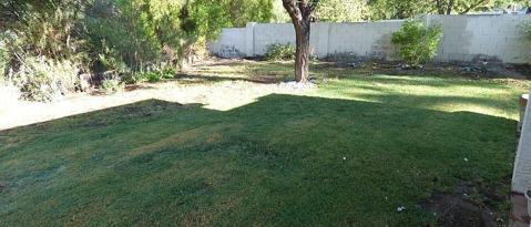 7706 N Dreamy Draw Dr Phoenix, AZ 85020 photo 3