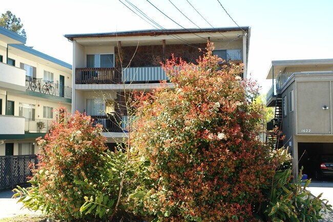 1624 Milvia St unit 1 photo 2
