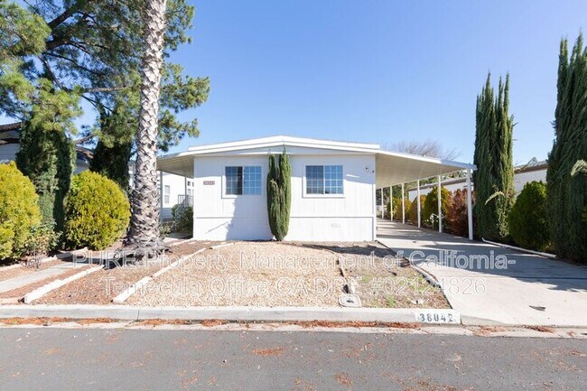 38042 Via Del Largo Murrieta, CA 92563 photo 4