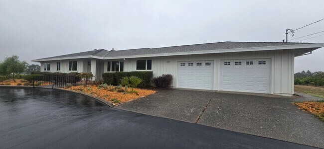 Vineyard Living In The Heart Of Sonoma County Wine Country photo 3