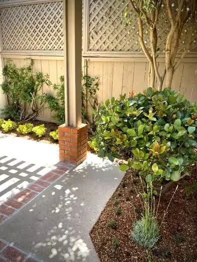 6863 Alderwood Dr Carlsbad, CA 92011 photo 5