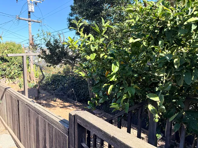215 Hazelwood Dr South San Francisco, CA 94080 photo 4