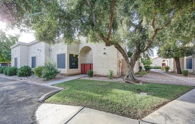 1111 W Summit Pl Chandler, AZ 85224 photo 3