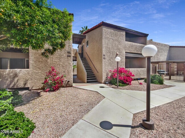 5146 E Oak St Phoenix, AZ 85008 photo 4