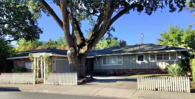 647 Bonita Ave Pleasanton, CA 94566 photo 3