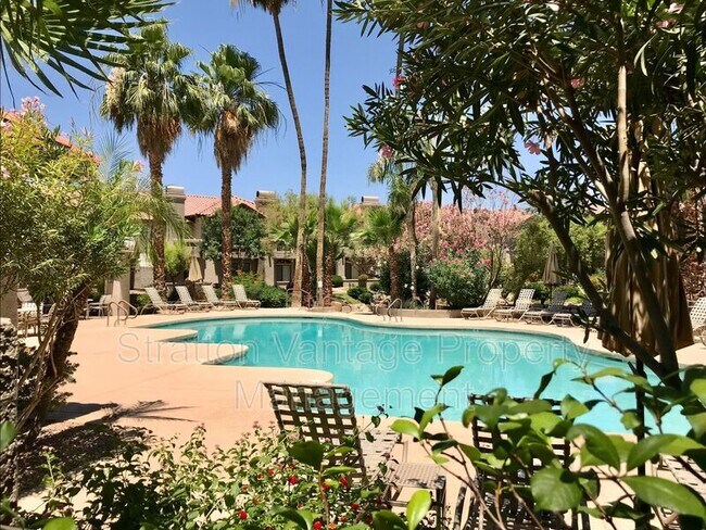 10015 E Mountain View Rd Scottsdale, AZ 85258 photo 2