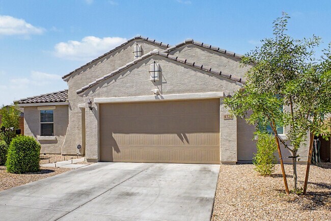 4329 Nora Dr San Tan Valley, AZ 85142 photo 4