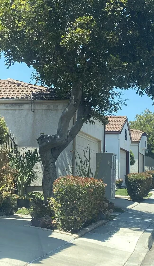 4433 Logan Ave San Diego, CA 92113 photo 2