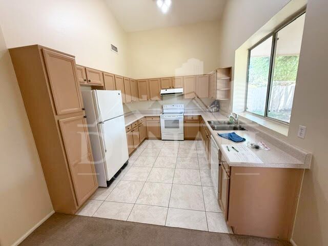 797 N Gregory Pl Chandler, AZ 85226 photo 4