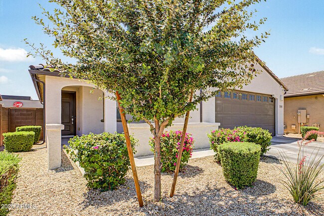 5816 N 90th Dr Glendale, AZ 85305 photo 2
