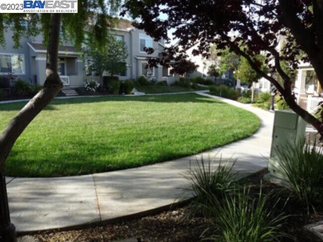 253 Bellington Common Livermore, CA 94551 photo 4