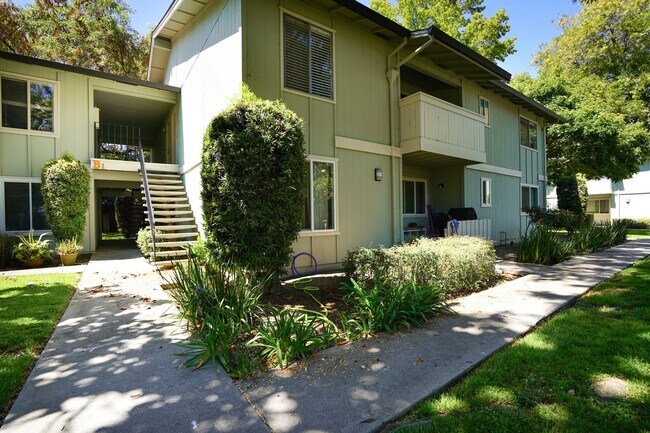 264 N Whisman Rd Mountain View, CA 94043 photo 3