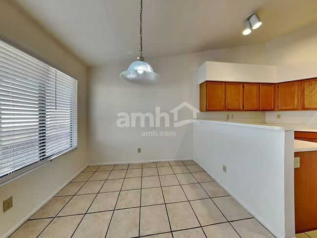 3603 N 107th Dr Avondale, AZ 85392 photo 5
