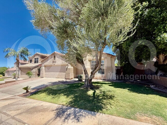 826 W Carob Dr Chandler, AZ 85248 photo 3
