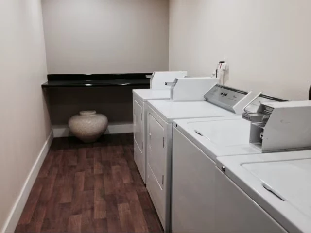 Elan Pacific Lofts photo 3
