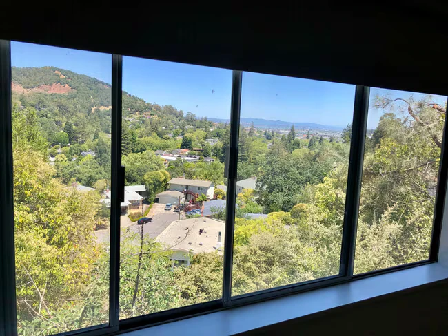 12 Hepburn Heights Rd San Rafael, CA 94901 photo 2