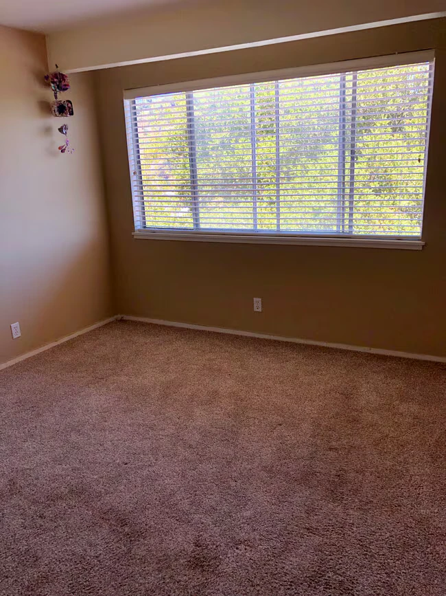 12 Hepburn Heights Rd San Rafael, CA 94901 photo 3