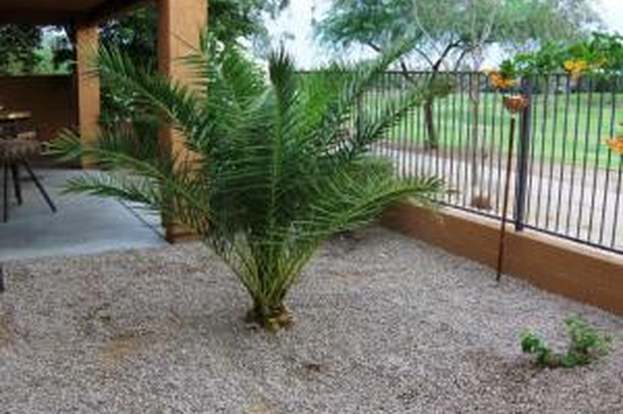 7231 S Golfside Ln Phoenix, AZ 85042 photo 4