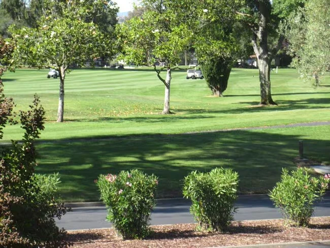 5037 Cribari Vale San Jose, CA 95135 photo 3