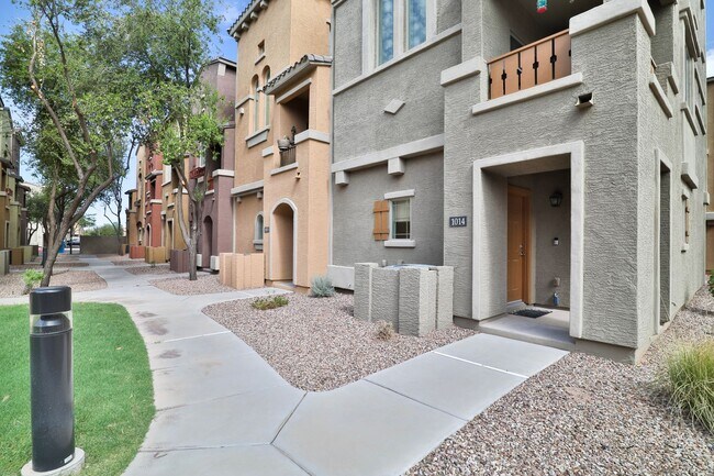 240 W Juniper Ave Gilbert, AZ 85233 photo 5