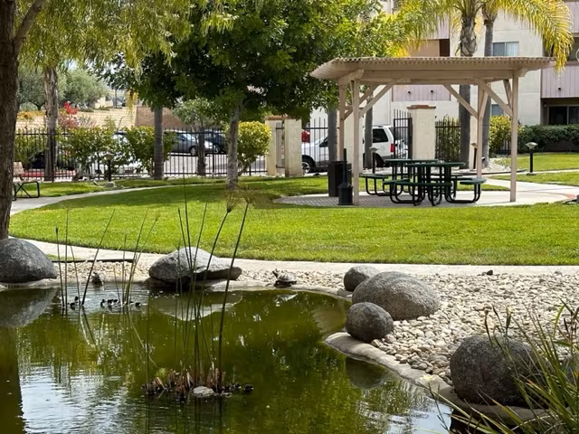 Terrace Gardens Apartments - Seniors 55+ photo 4