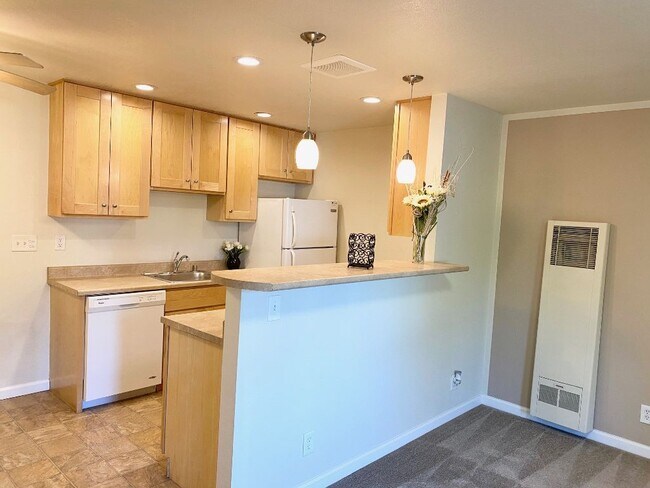 1br/1ba with W/D; Carpet, 2nd Floor, floor plan