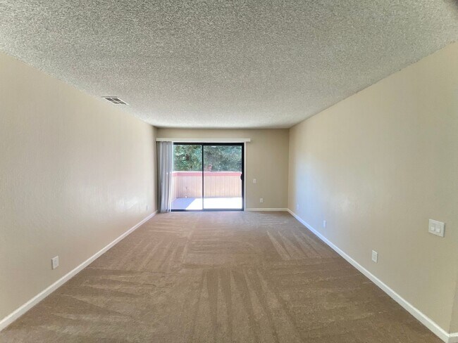 254 Hackamore Common Fremont, CA 94539 photo 5