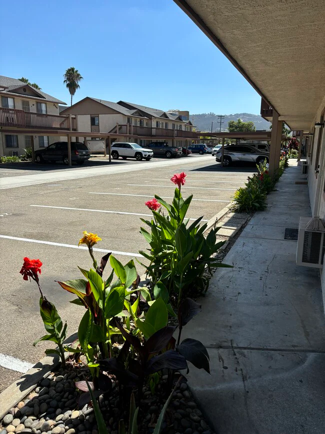 The Palms photo 5