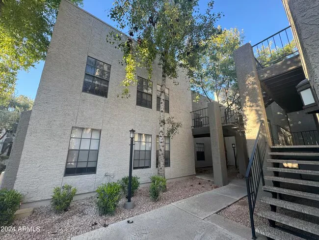 8020 E Thomas Rd Scottsdale, AZ 85251 photo 4