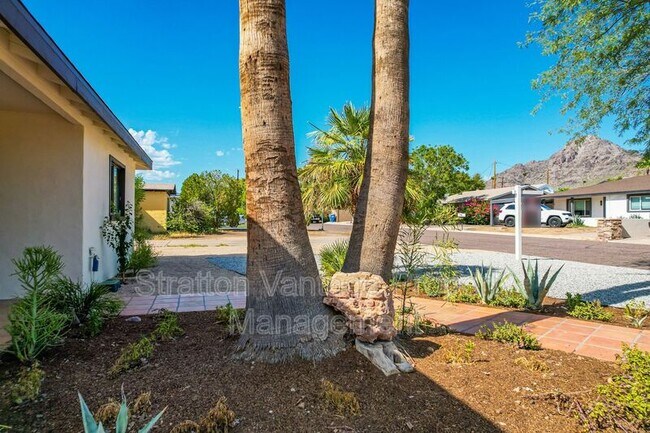 6628 N 19th St Phoenix, AZ 85016 photo 5