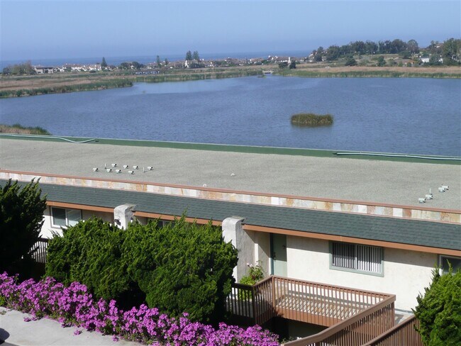 2475 Jefferson St Carlsbad, CA 92008 photo 2