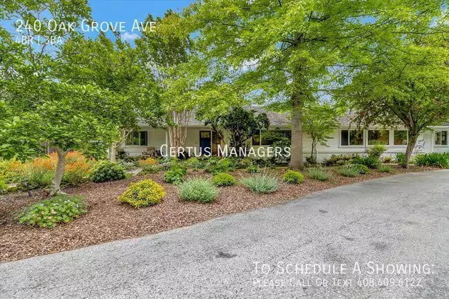 240 Oak Grove Ave photo 4