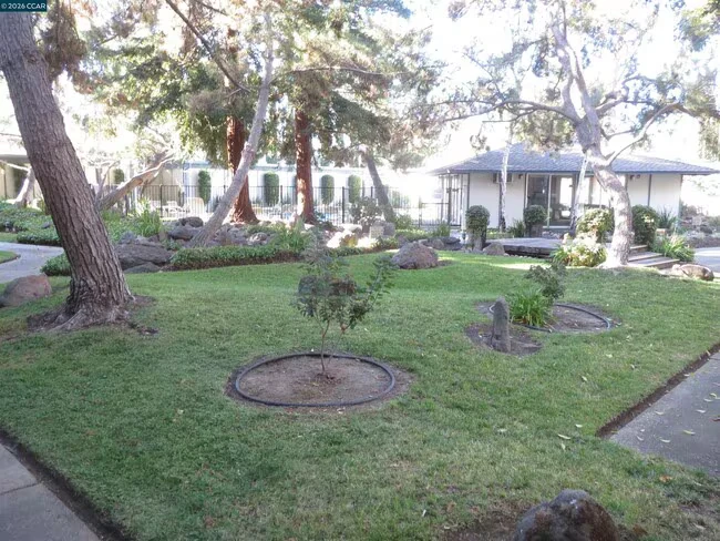 1591 Ellis St Concord, CA 94520 photo 5