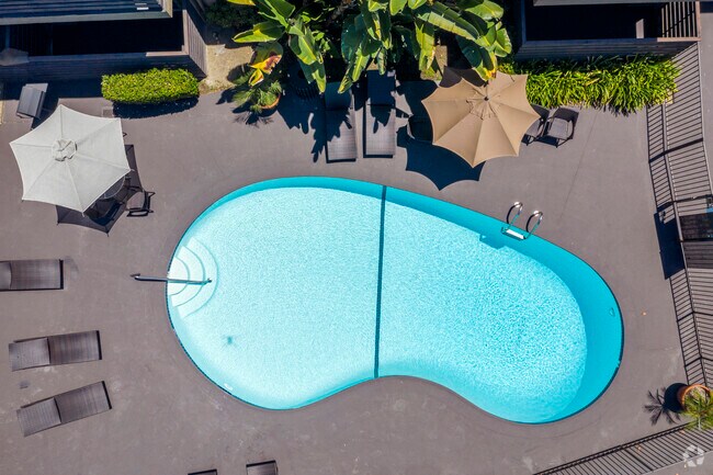 Elan Avante Apartments photo 4