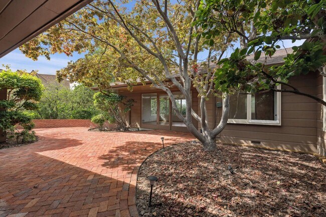 4BR/3BA Single Family House on Mcandrew Drive · Oakland photo 2