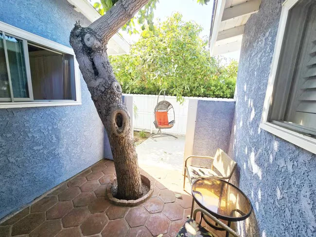 819 Hymettus Ave Encinitas, CA 92024 photo 2