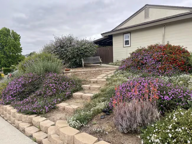 9556 Cecilwood Dr Santee, CA 92071 photo 2