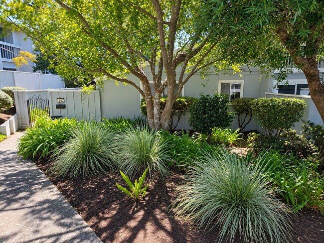 1562 Dolphin Dr photo 2