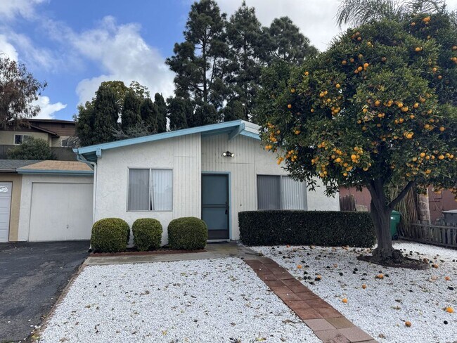 284 Lustrosos St Oceanside, CA 92057