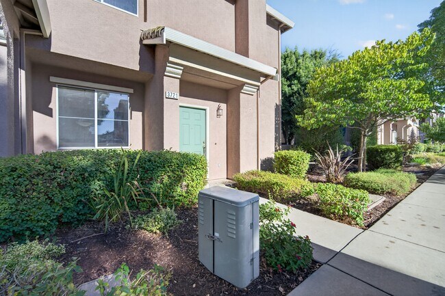 3721 Jasmine Cir photo 3