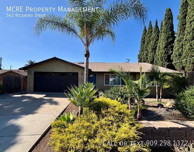 542 Ricebird Dr photo 2