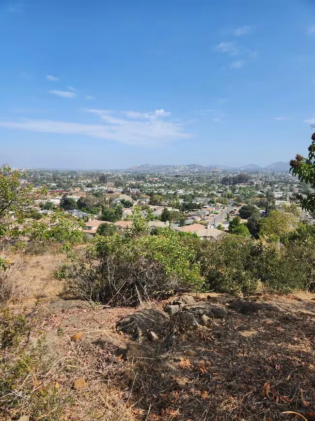 7342 Orien Ave La Mesa, CA 91941 photo 5