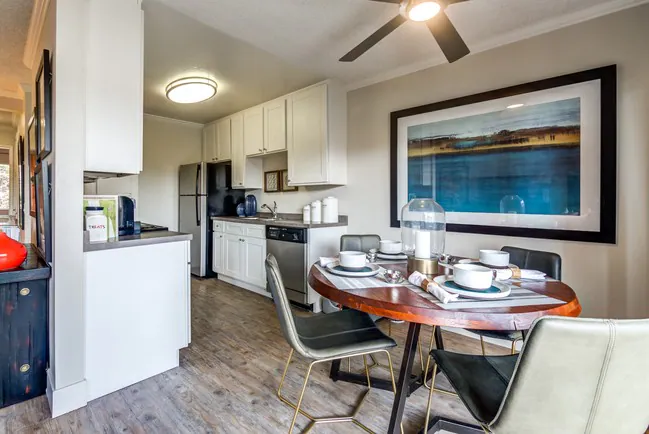 Carlsbad View Apartments photo 4