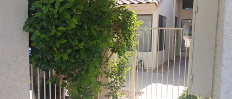7331 S Jentilly Ln Tempe, AZ 85283 photo 2