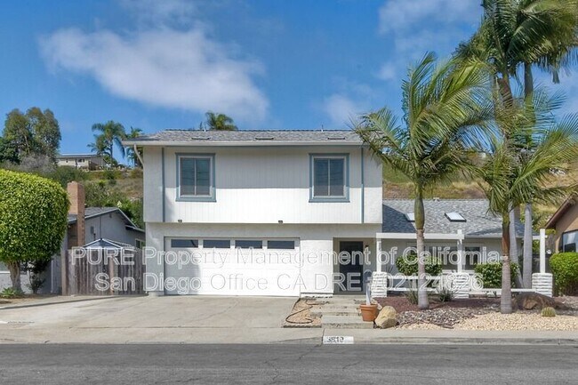 3819 Sierra Morena Ave Carlsbad, CA 92010