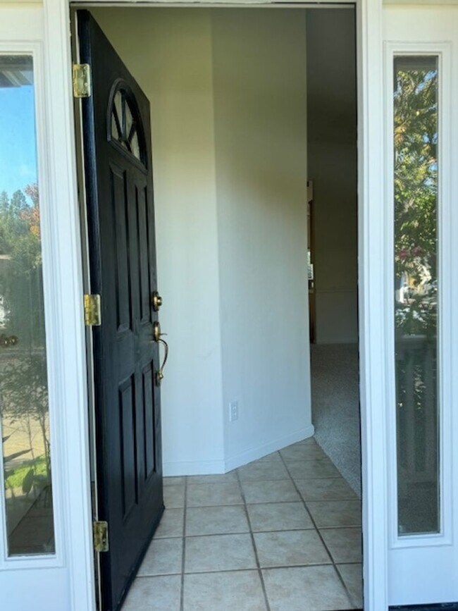 4229 Grapevine Dr Napa, CA 94558 photo 5