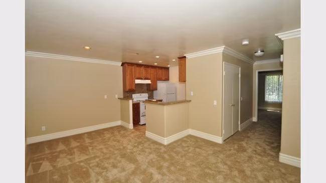 Sunset Springs Apartments photo 3