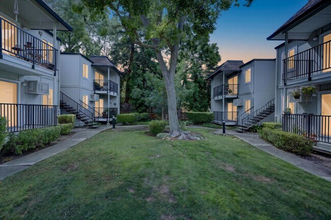 1598 Sunnyvale Ave Walnut Creek, CA 94597 photo 2