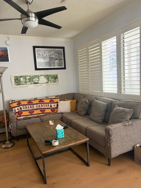 3302 N 7th St Phoenix, AZ 85014 photo 3
